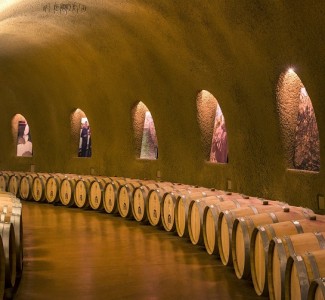 Foto Corso Cultura del vino. Conoscere e degustare il vino