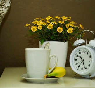 Foto Corso di aggiornamento sui Bed & breakfast