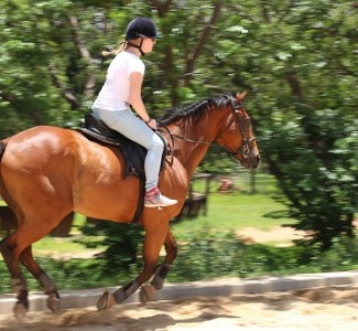 Foto Corso Guida turistica naturalistica ed equestre