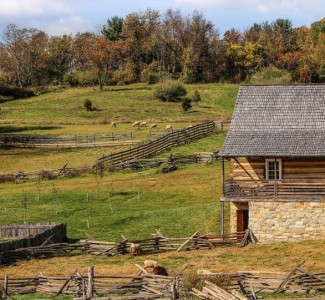 Foto A Pesaro Corso gratuito per Operatore Agrituristico eco-bio sostenibile