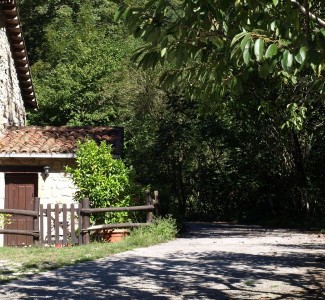 Foto A Fondi Corso Tecnico della Gestione dell’Impresa nel settore dell’Agriturismo e Azienda Agricola