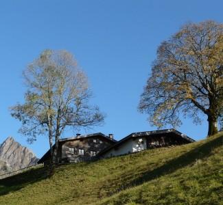 Foto Come diventare Operatore Agrituristico. Corso gratuito a Tolentino