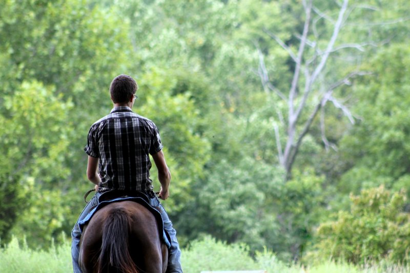 guida equestre