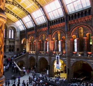 Foto Corso per diventare Guida Turistica rivolto a lavoratori occupati