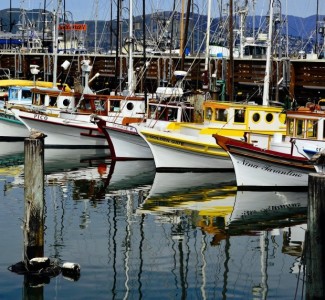 Foto Corso per Operatore Pescaturismo
