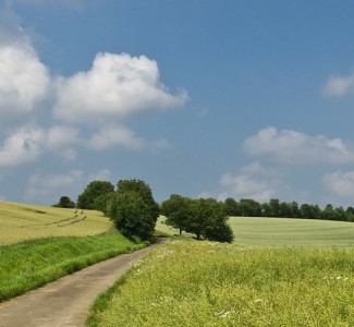 Foto Corso per agenti di sviluppo locale e animazione territoriale