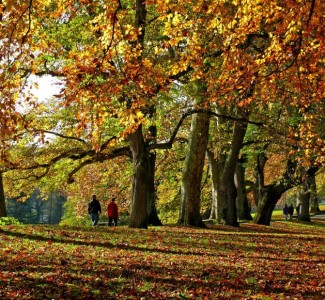 Foto IFTS per Manager dello sviluppo locale per il turismo eco-sostenibile