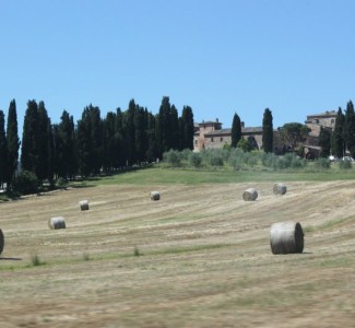 Foto Turismo rurale: in Toscana pronto a partire un Corso gratuito