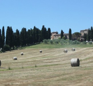 Foto Corso per Operatore agrituristico